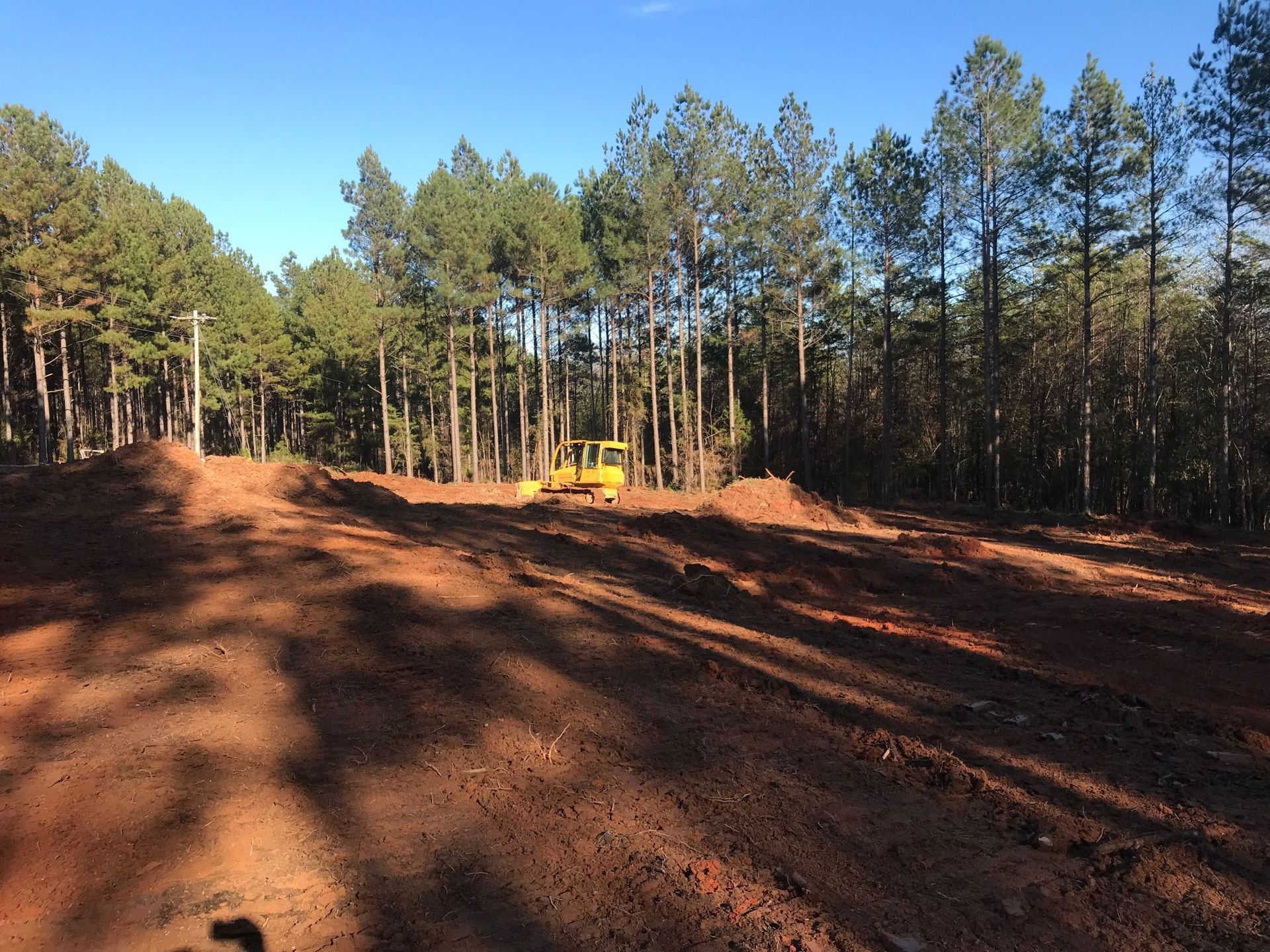 Dirt road clearing in a forest; yellow bulldozer visible, trees line the background under a blue sky.