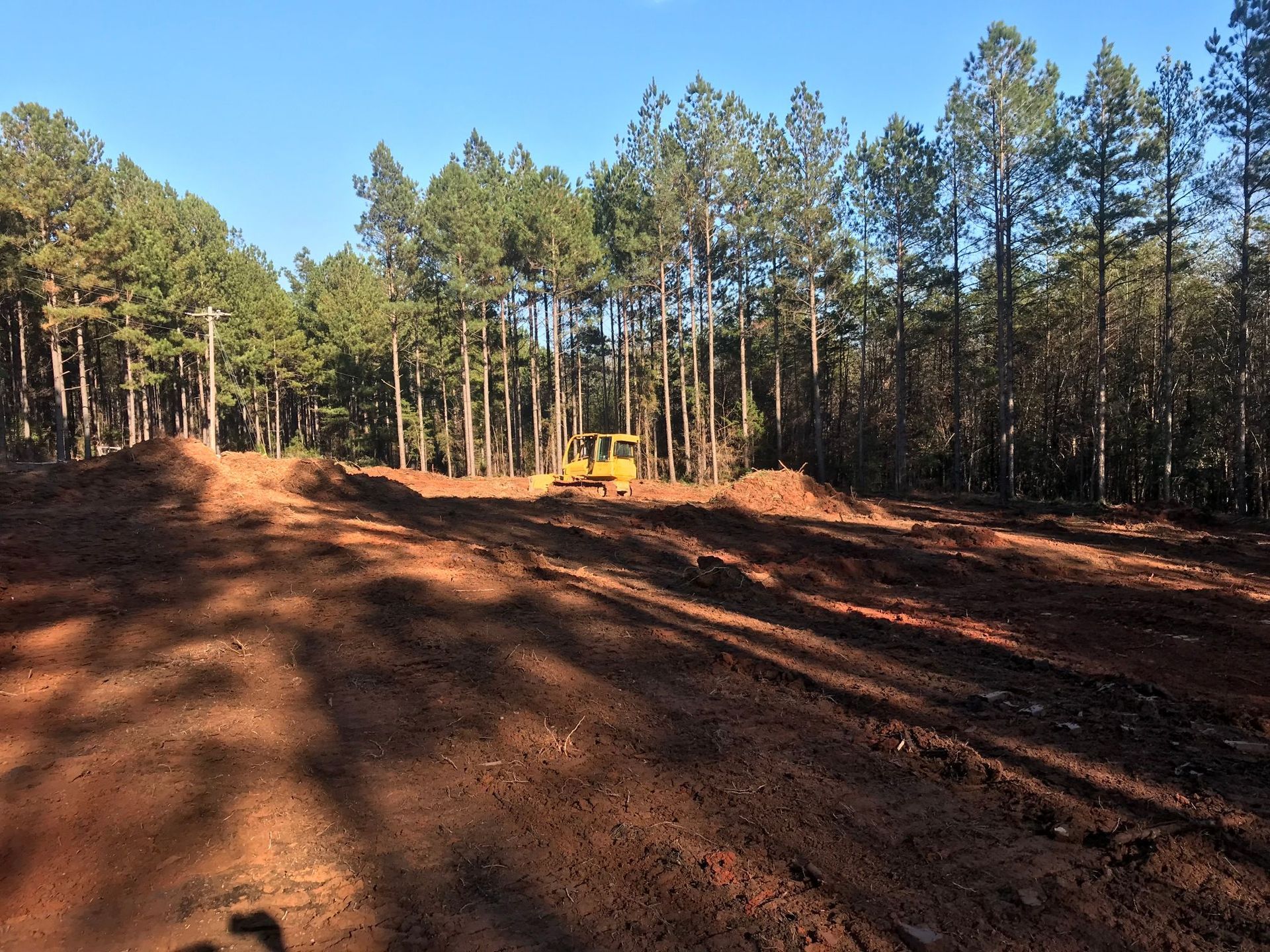 A yellow bulldozer clearing a dirt path in a forest; sunny, blue sky.