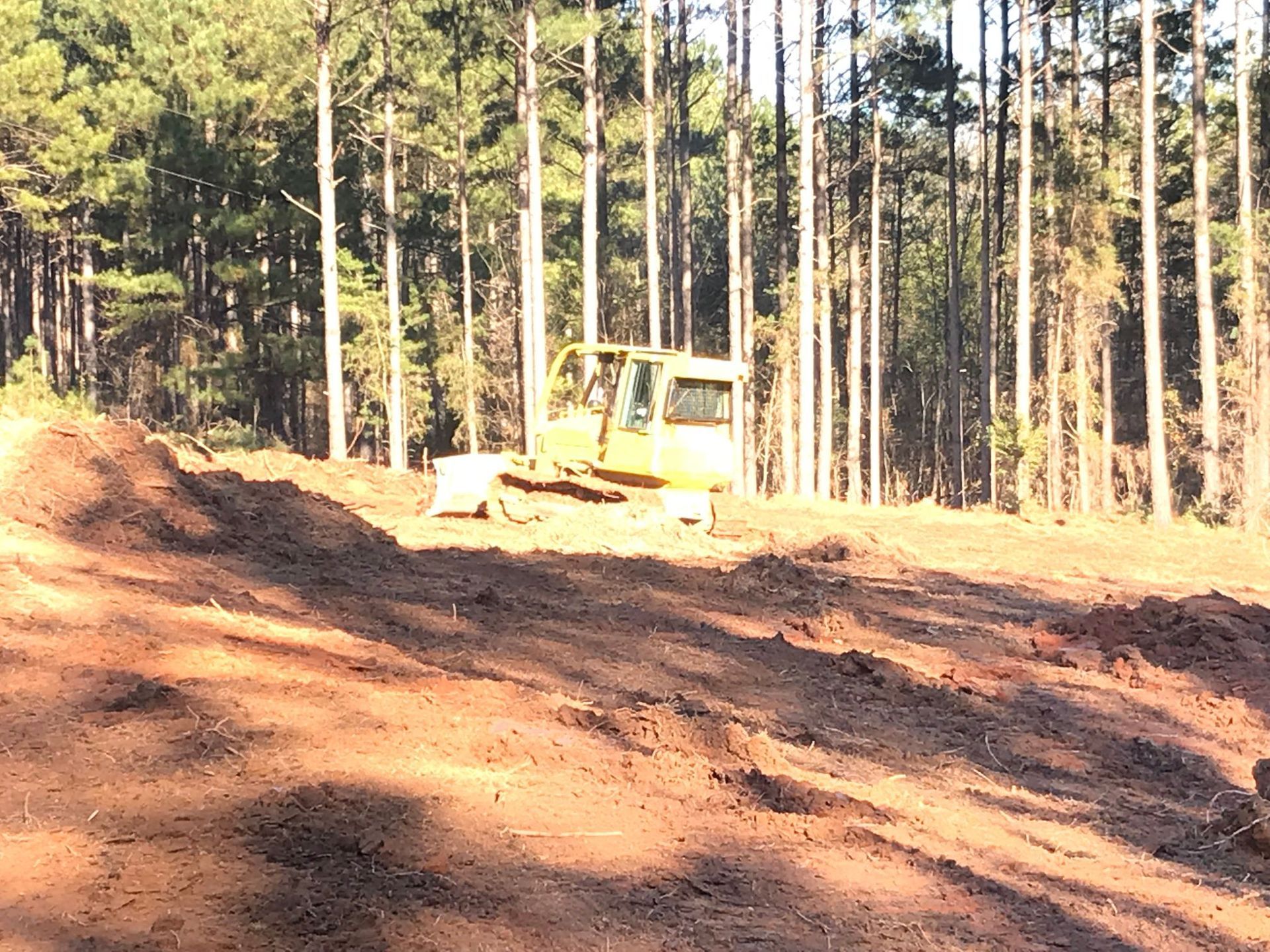 A bulldozer in a clearing, with a backdrop of tall trees and brown earth.