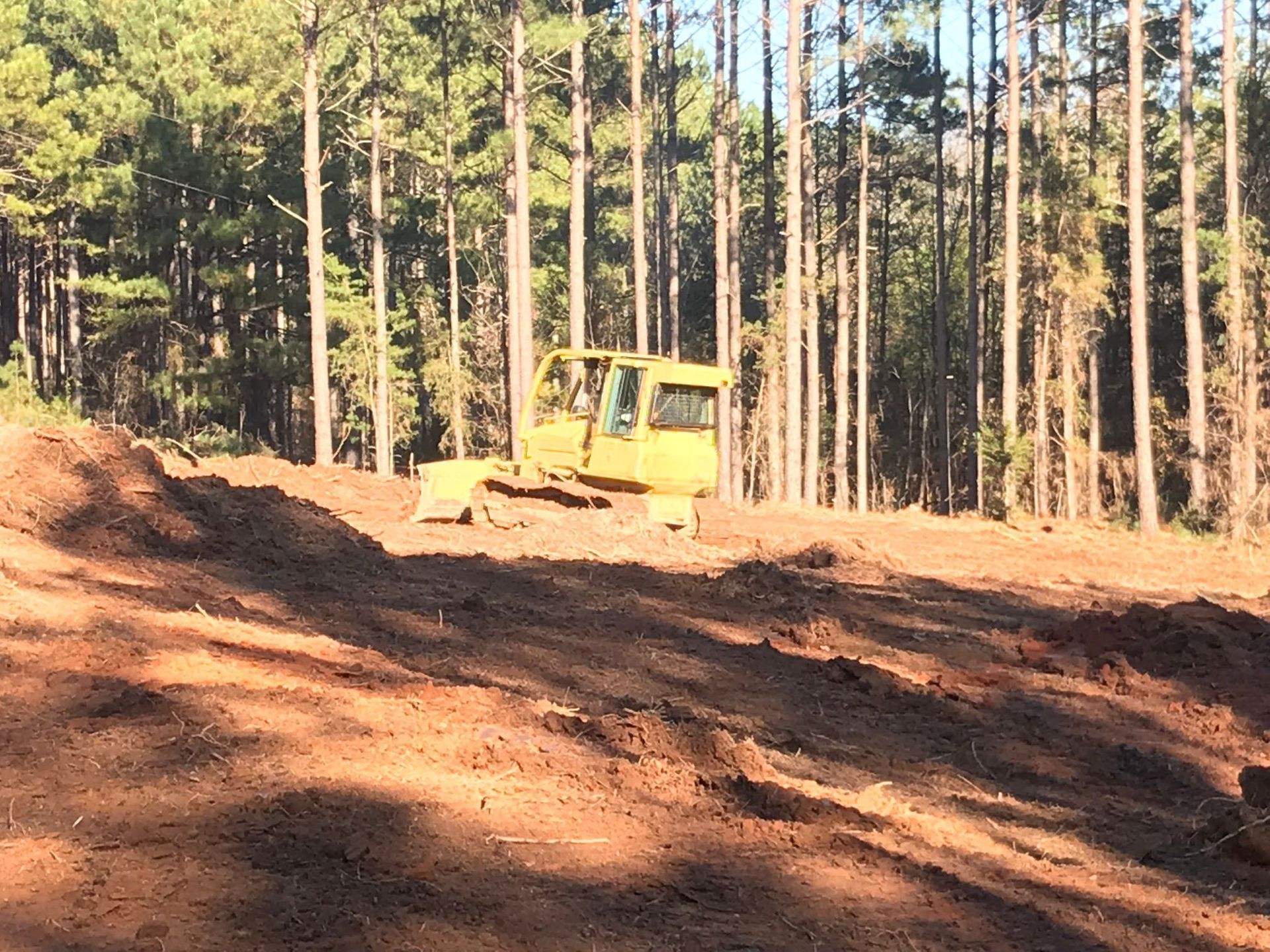 A yellow bulldozer clearing land in a forest, brown soil and tall trees in the background.