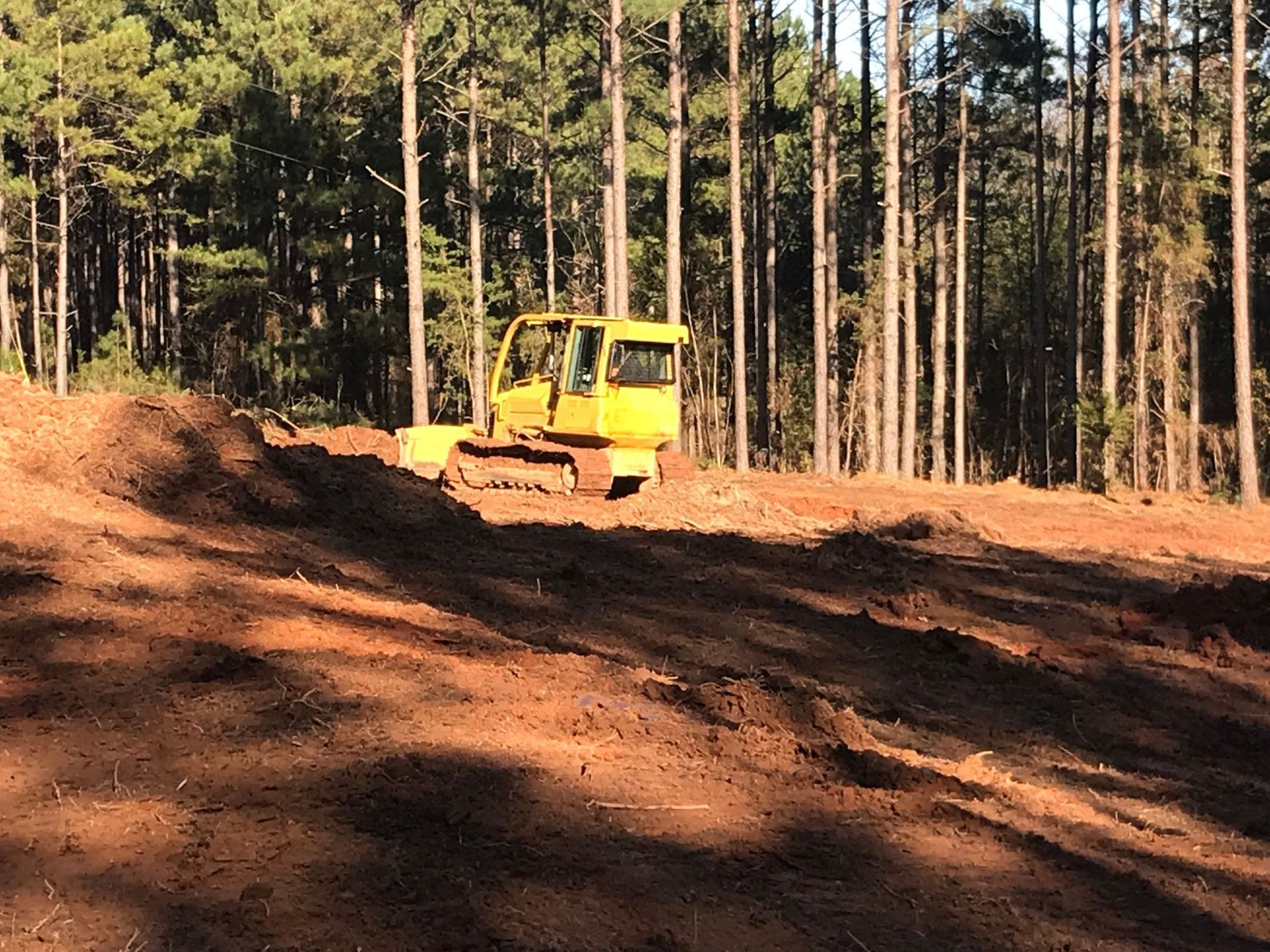 Yellow bulldozer clearing land in a forest with tall, green trees.