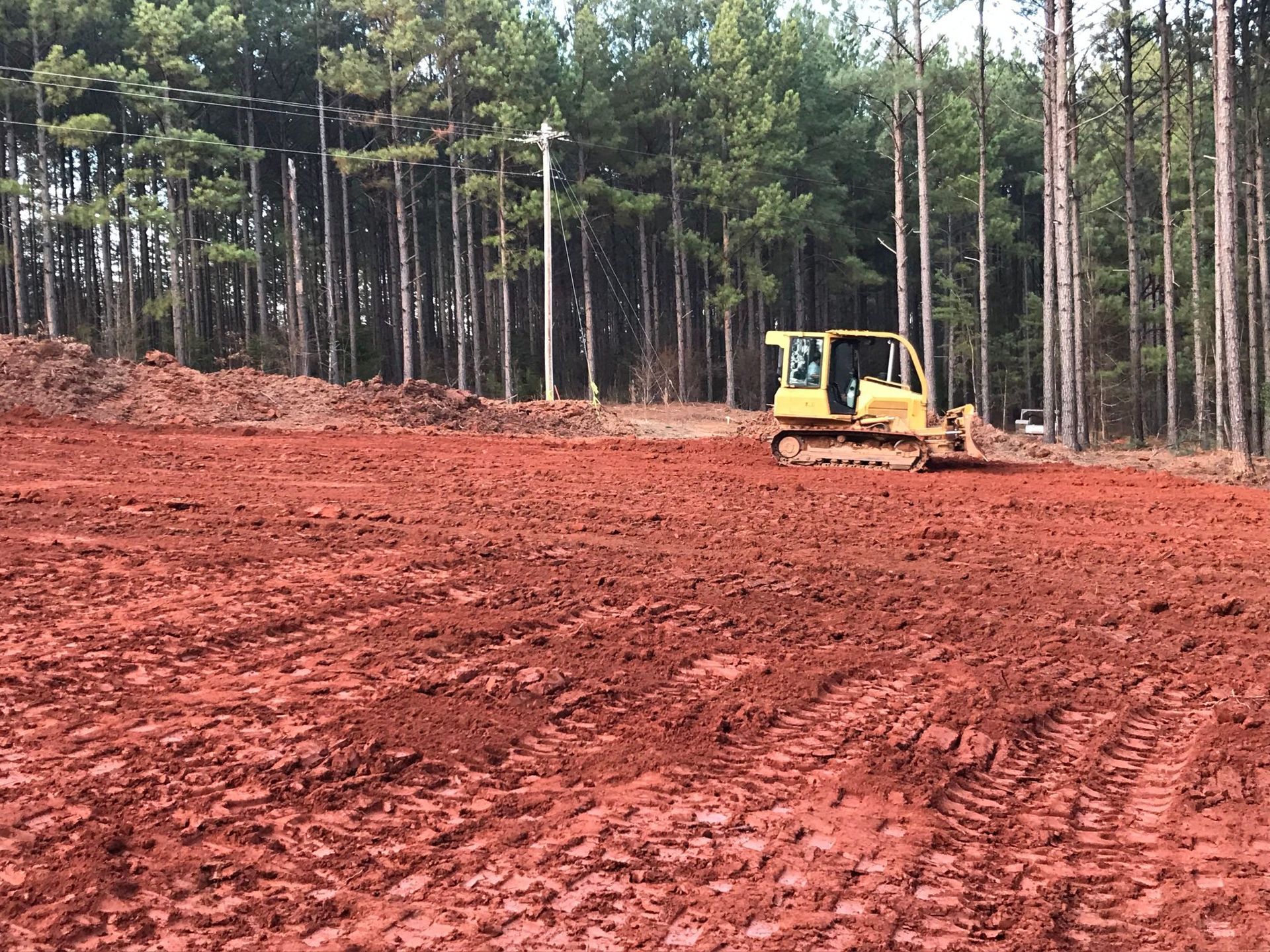 A bulldozer leveling red earth in a clearing surrounded by pine trees.