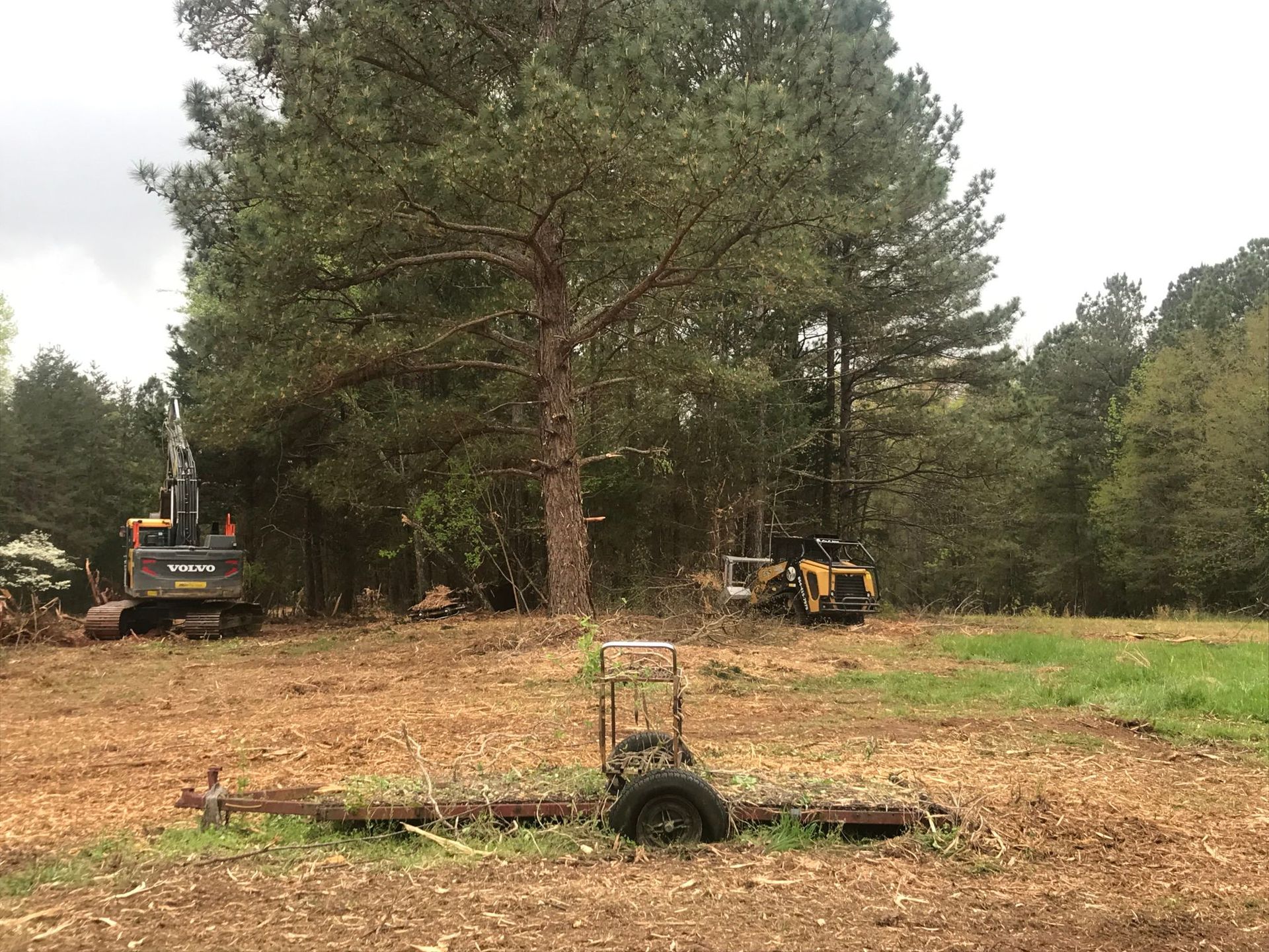 Two excavators clearing trees in a field, a trailer sits in the foreground.