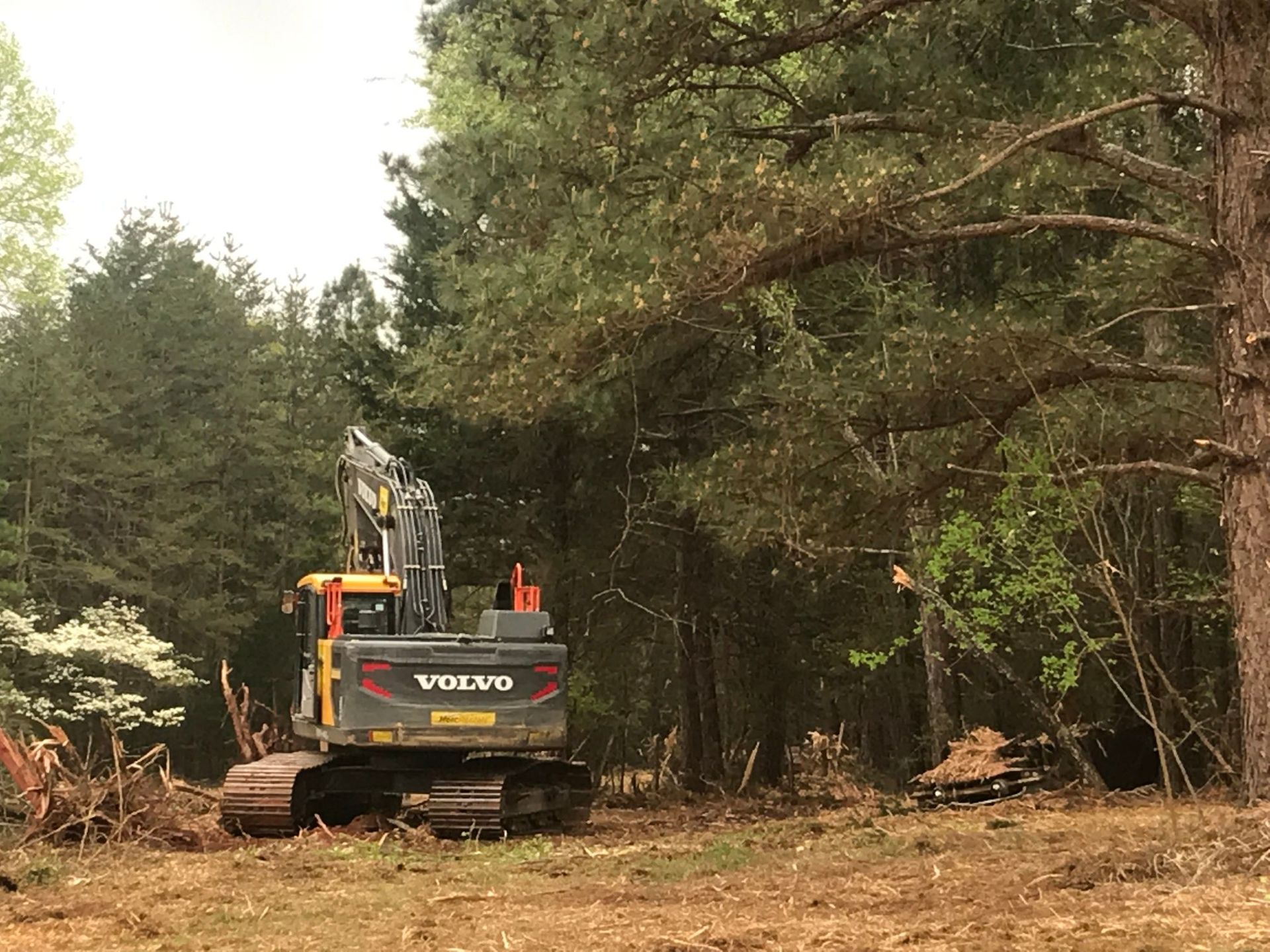 Yellow Volvo excavator clearing trees in a forest.