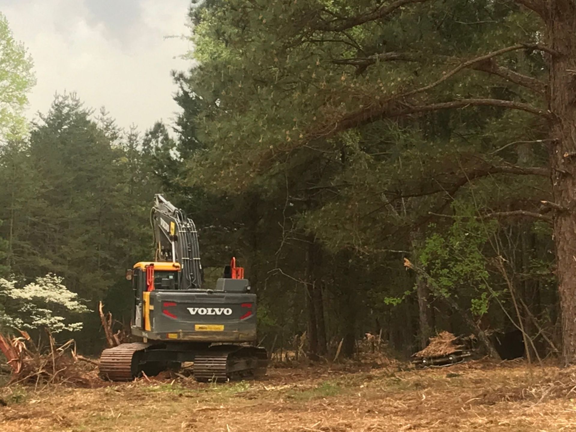 Volvo excavator clearing trees in a forest.