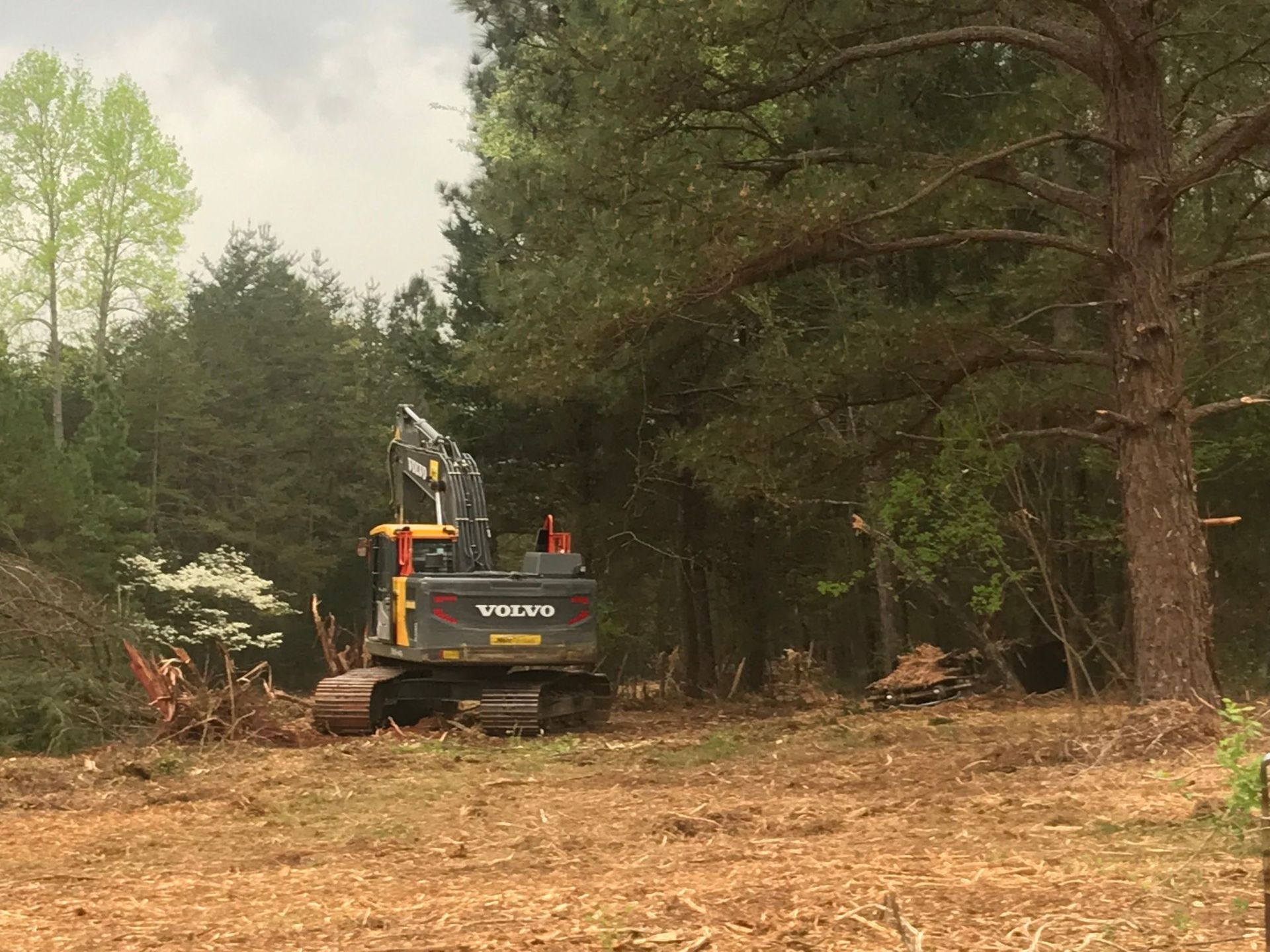 Excavator clearing a wooded area, with felled trees and brown earth visible.
