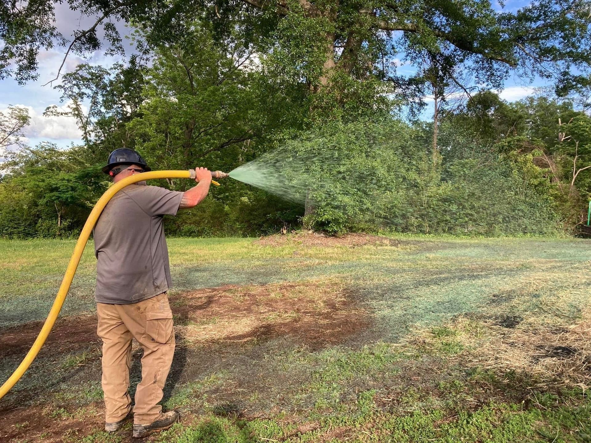 Man sprays water on soil with a yellow hose in a yard near trees.