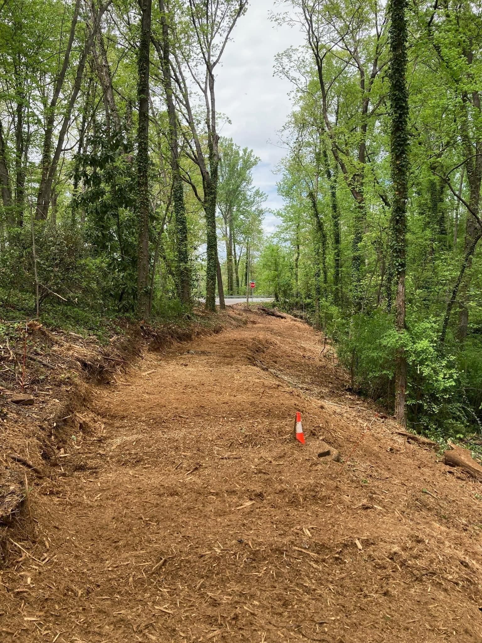 A dirt path through a wooded area, covered in wood chips, with trees on both sides.