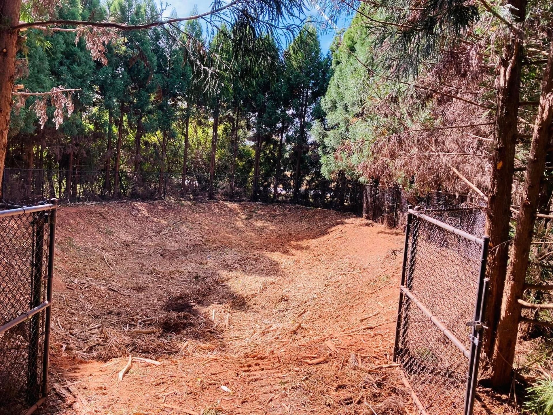 Open metal gates lead into a cleared, dirt area surrounded by trees and a treeline.