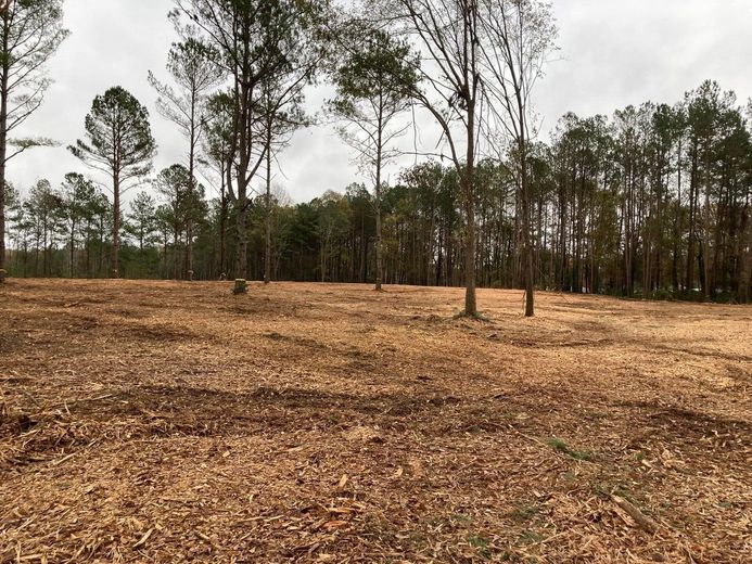Cleared land covered in wood chips, trees in the background under a cloudy sky.