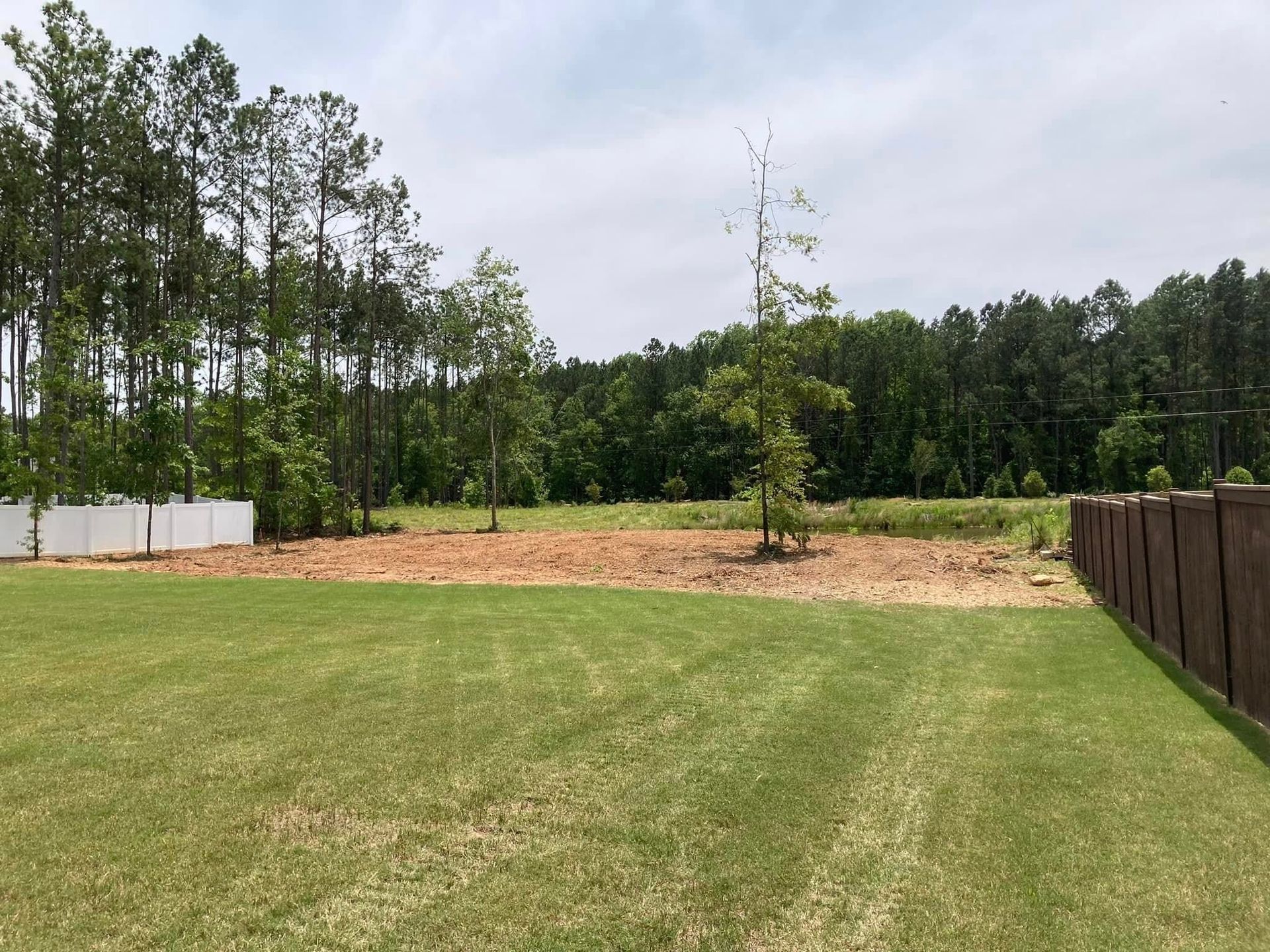 Grassy backyard with trees, fence, and cleared land in the middle. Sky is blue.
