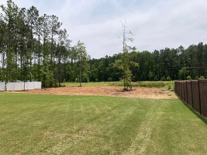 Grassy backyard with trees, fence, and cleared land in the middle. Sky is blue.