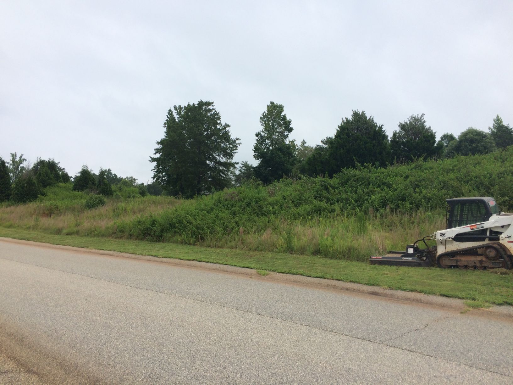 A roadside scene with a skid steer tractor parked on the right, overgrown vegetation, and trees under a cloudy sky.