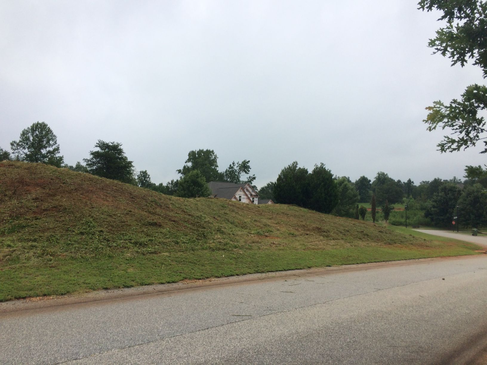 Grassy hill sloping up to a house under a cloudy sky. Road in foreground, trees to the sides.