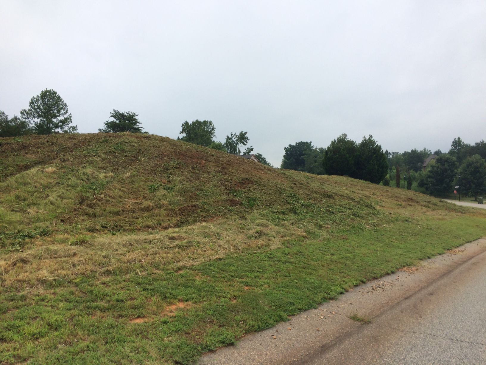 Green grassy hill next to a road on an overcast day. Trees in the background.