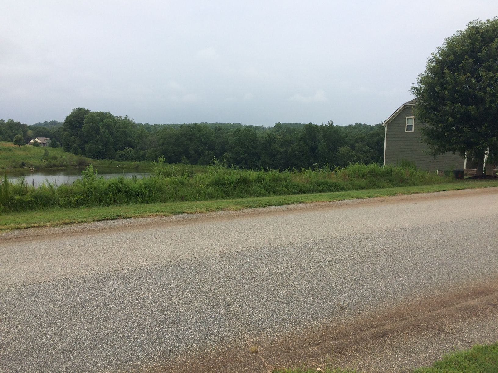 Gravel road with green grass, a pond, and a green house in a rural setting under a cloudy sky.
