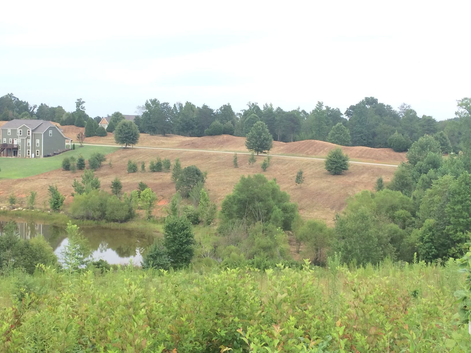 Landscape with pond, bare hills, trees, and a house on a cloudy day.