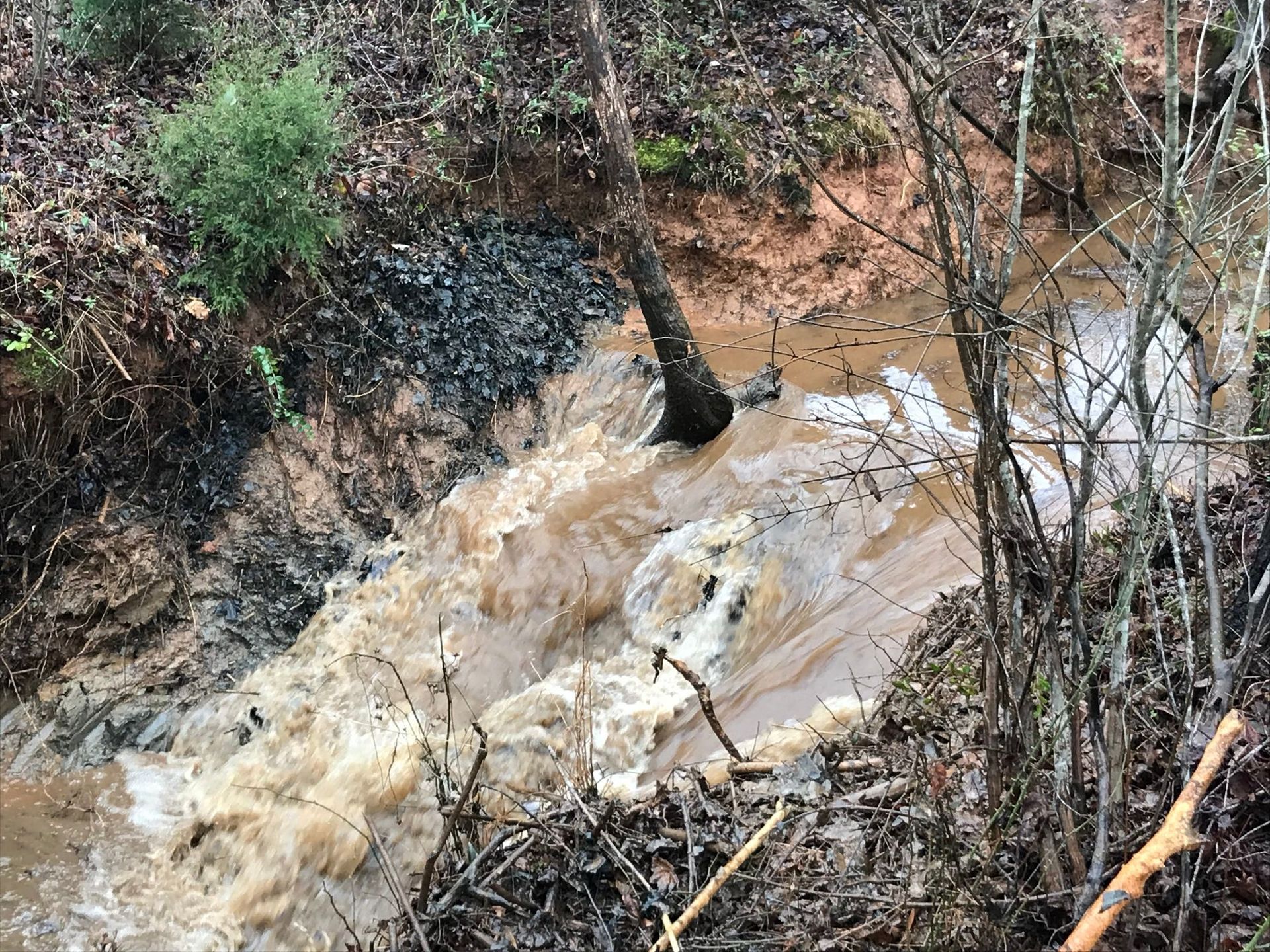 Brown, rushing water in a creek, eroding the bank. Tree in the water, surrounded by muddy debris.