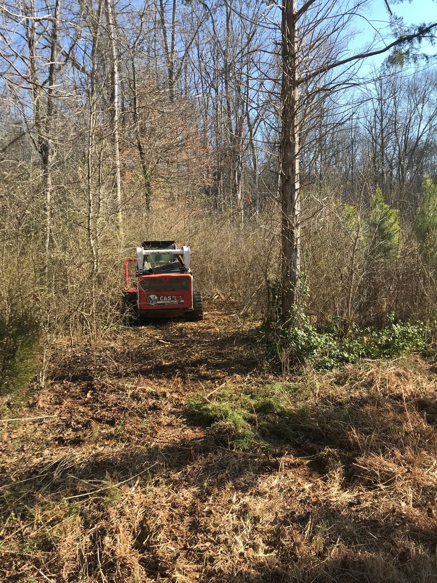 Skid steer clearing a path through a wooded area; trees and brush on either side.