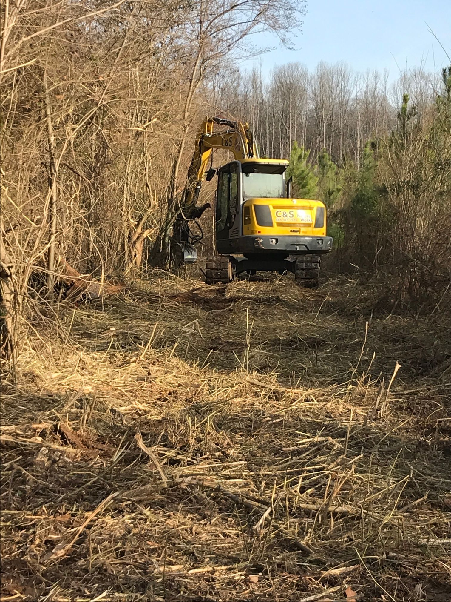 Yellow excavator clearing brush in a wooded area.