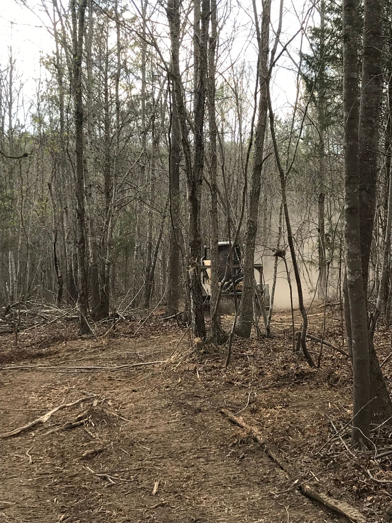 Tractor in a wooded area kicking up dust. Trees surround the machine.