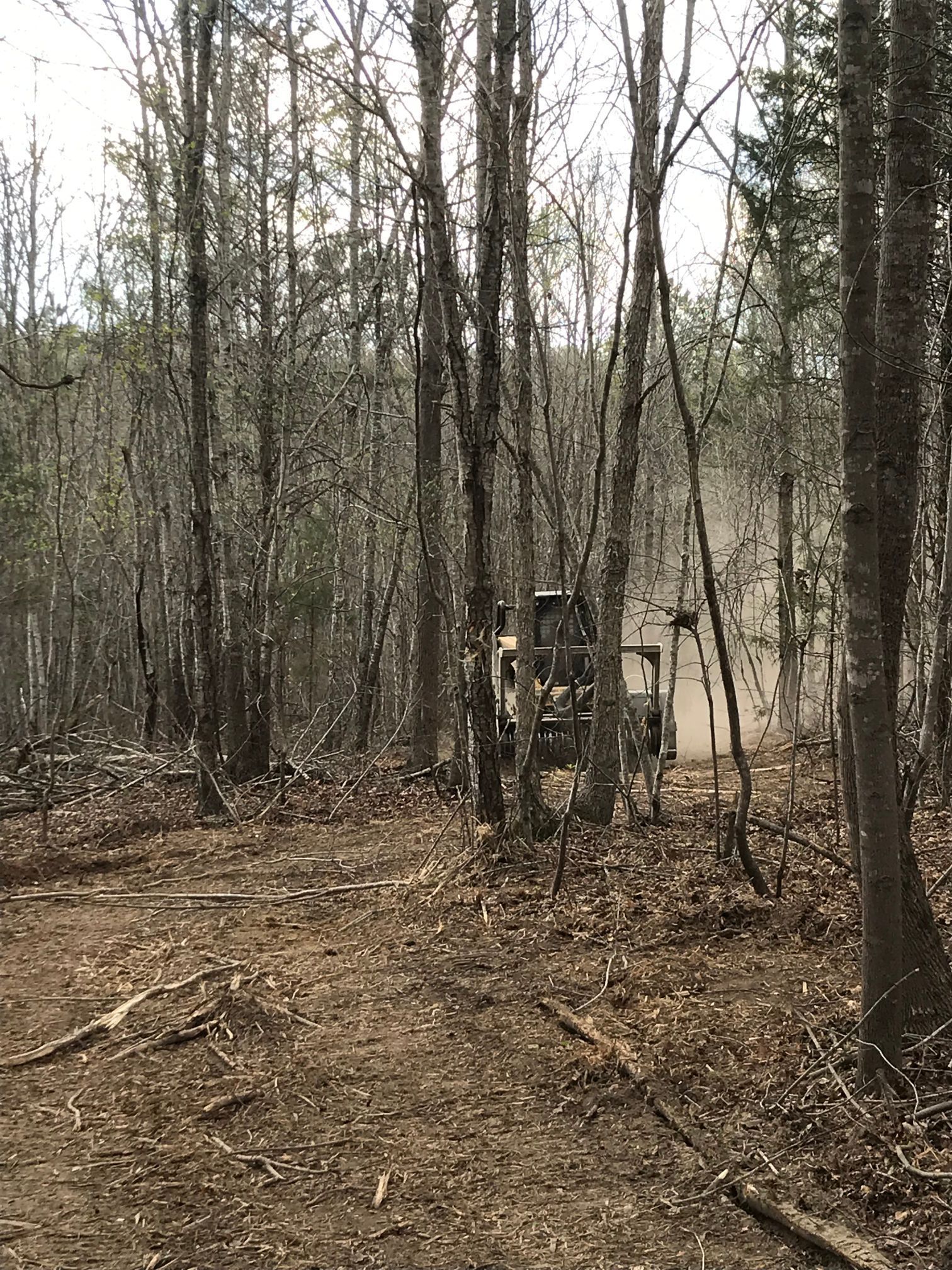 A logging machine working in a wooded area, trees and dirt road visible.