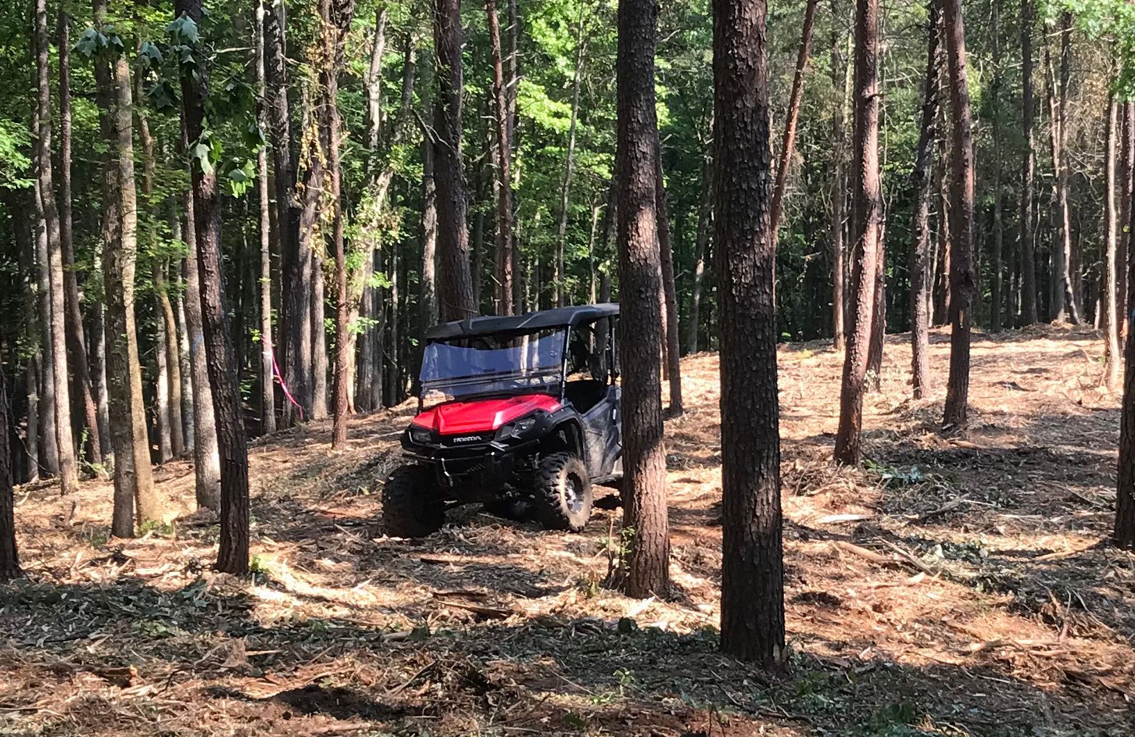 Red UTV parked in a forest clearing with tall trees and light brown debris on the ground.