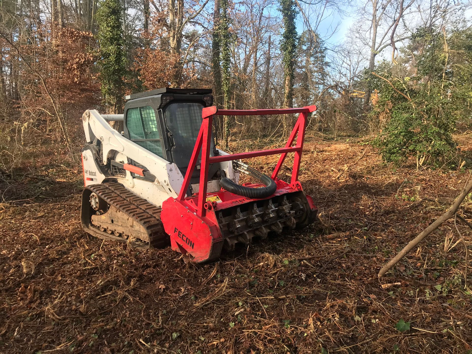 Bobcat clearing brush in a wooded area. White and red machine, brown ground.