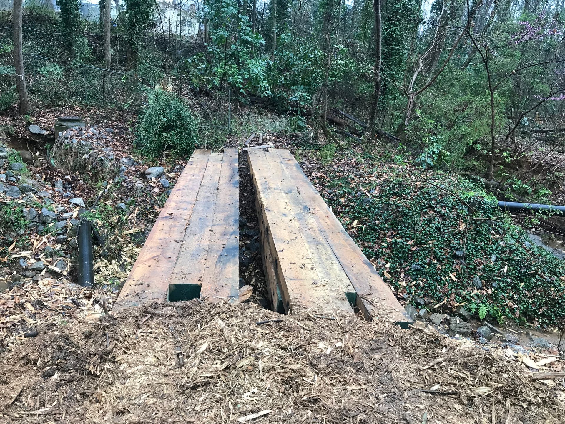 Wooden planks bridge a muddy, wooded area.