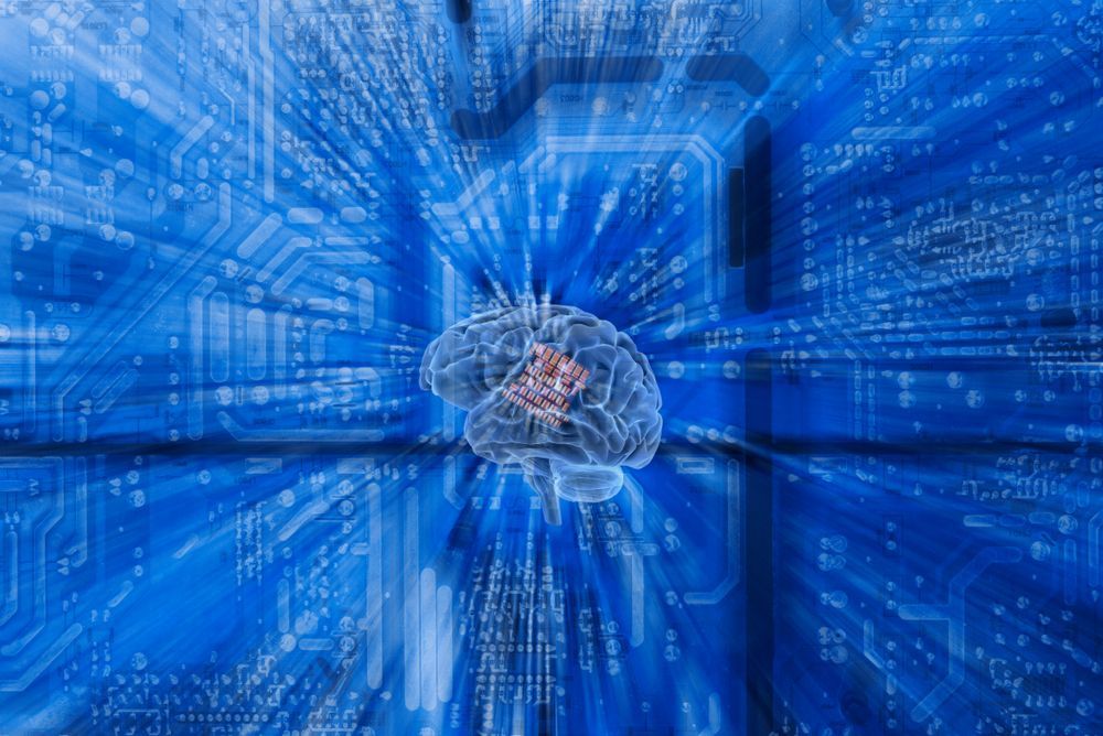 human brain on blue background of code