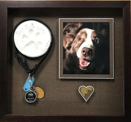 Shadow box memorial with dog's paw print, photo, tags, and heart-shaped ornament on a brown backdrop.