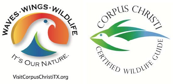 waves wings wildlife logo certified wildlife guide corpus christi