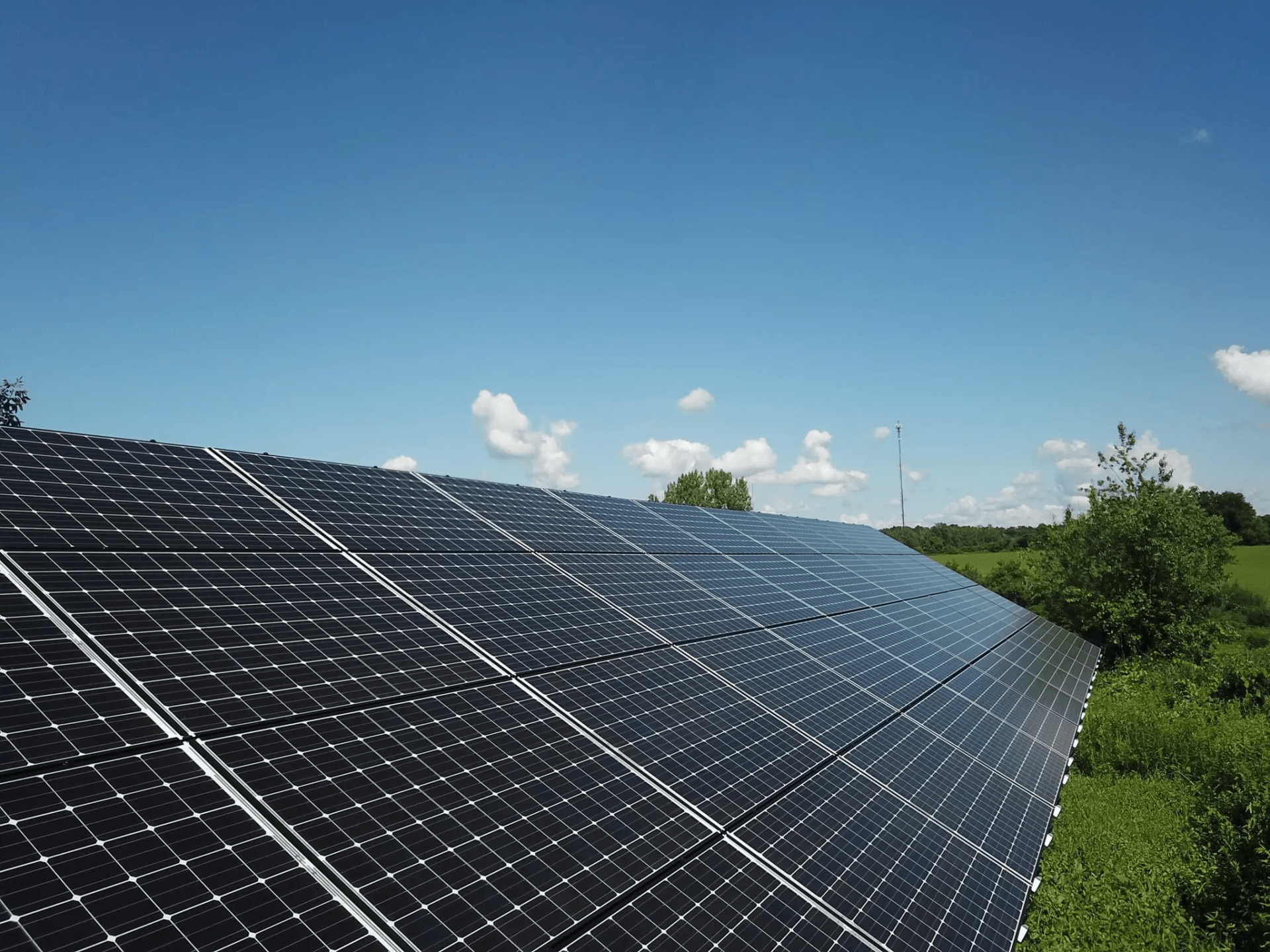 a row of solar panels sitting on top of a lush green field .