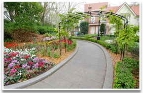a garden path surrounded by flowers