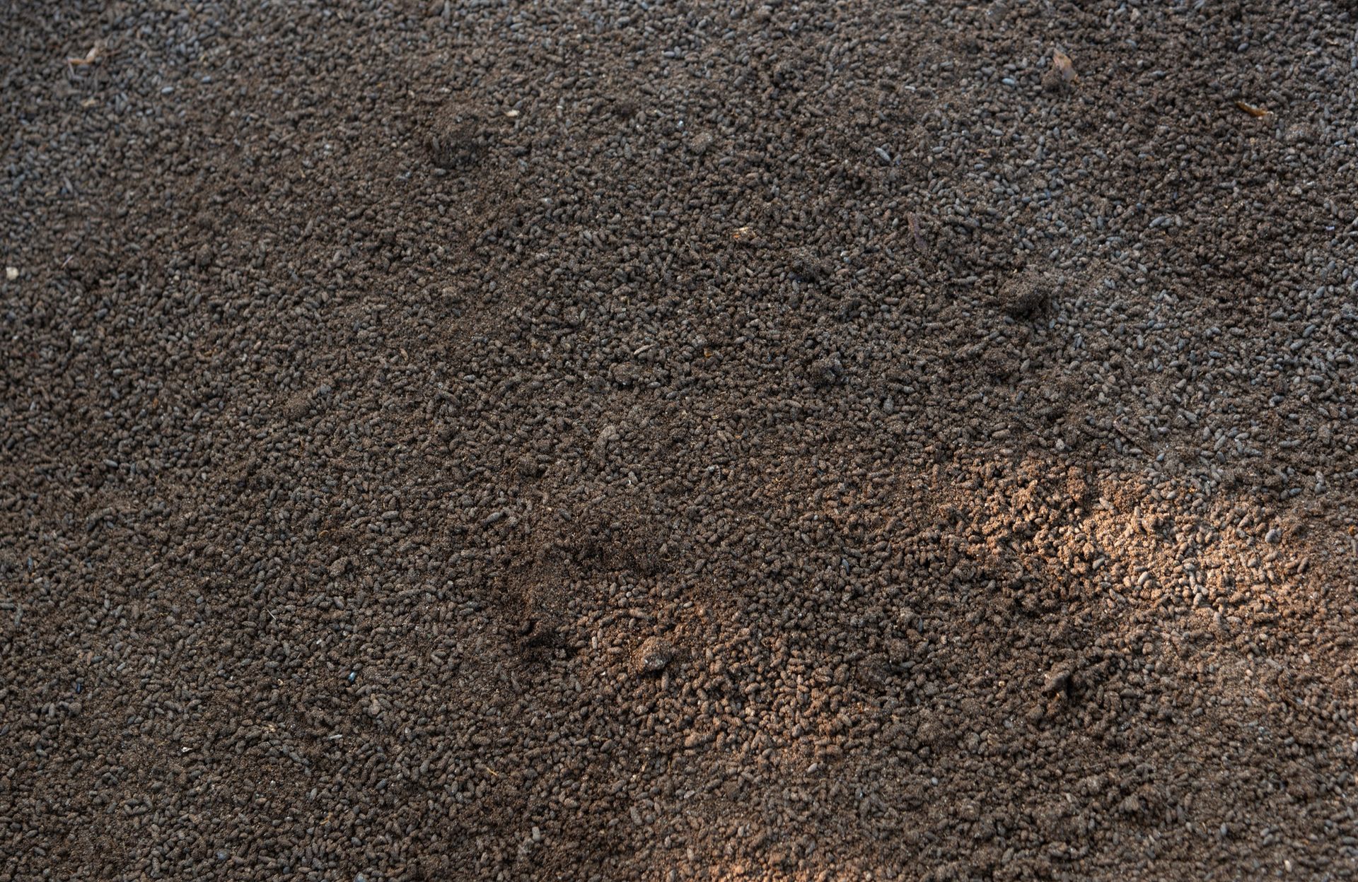 A close up of a concrete surface with a lot of small stones.