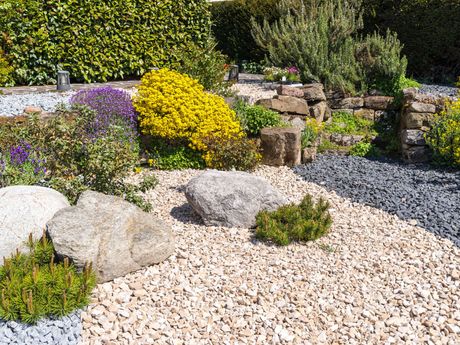 A garden filled with rocks , plants and flowers.