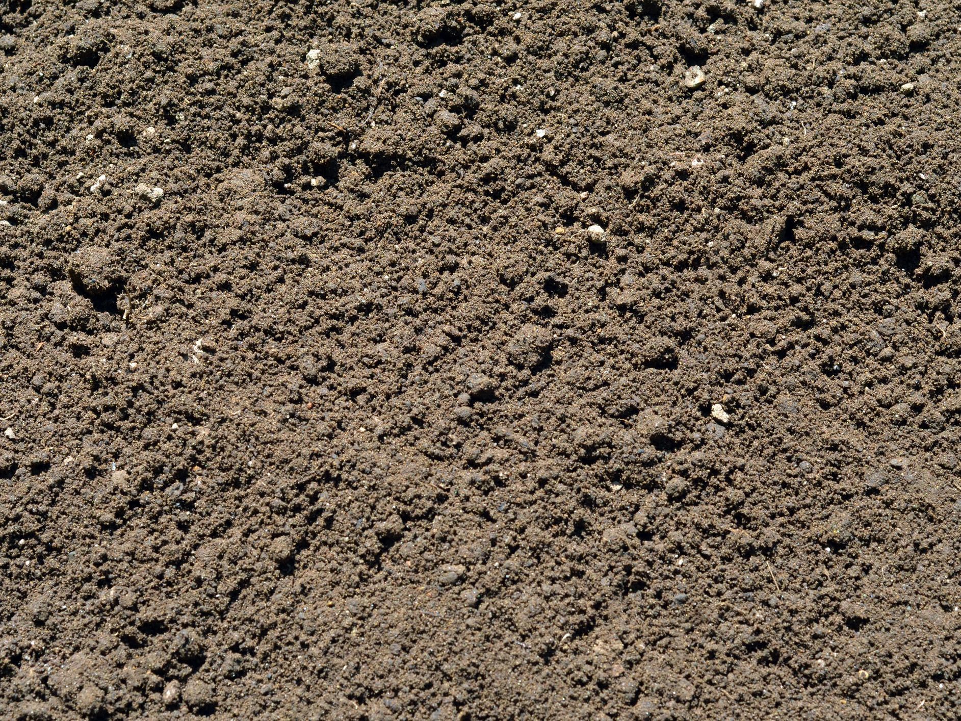 A close-up of a pile of dirt in a field.