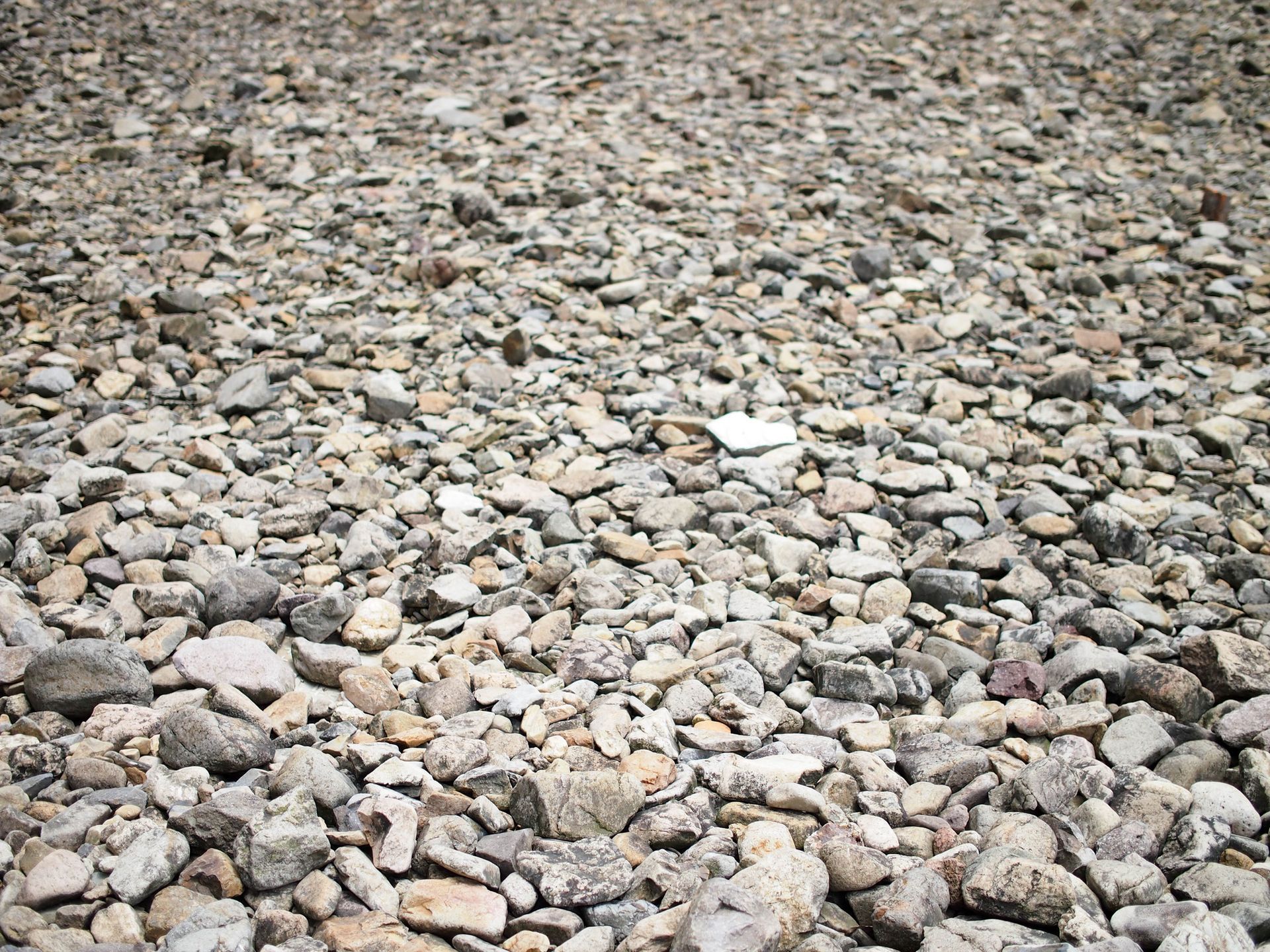 A pile of rocks on the ground on a beach.