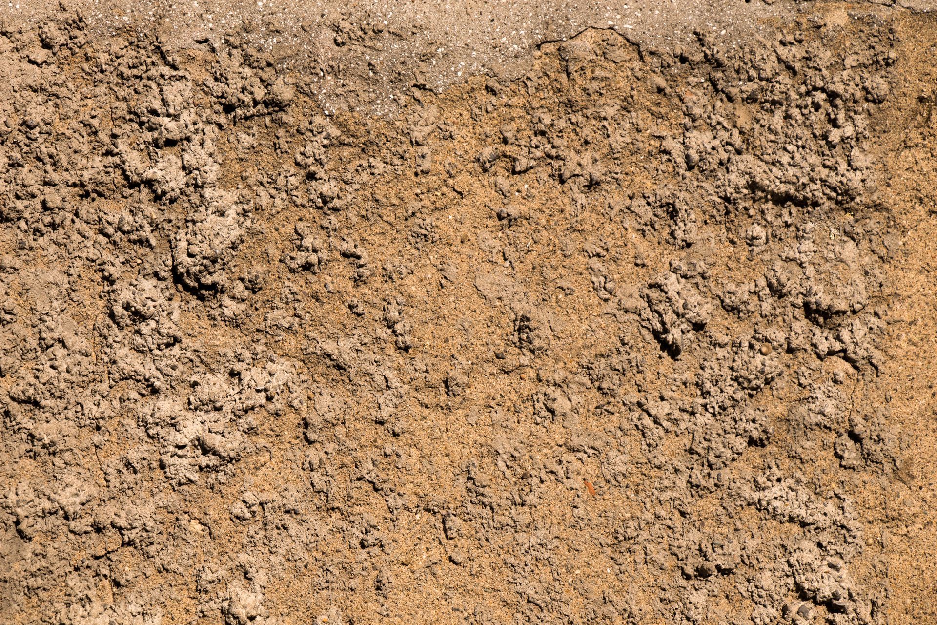 A close up of a piece of granite showing the texture of the stone.