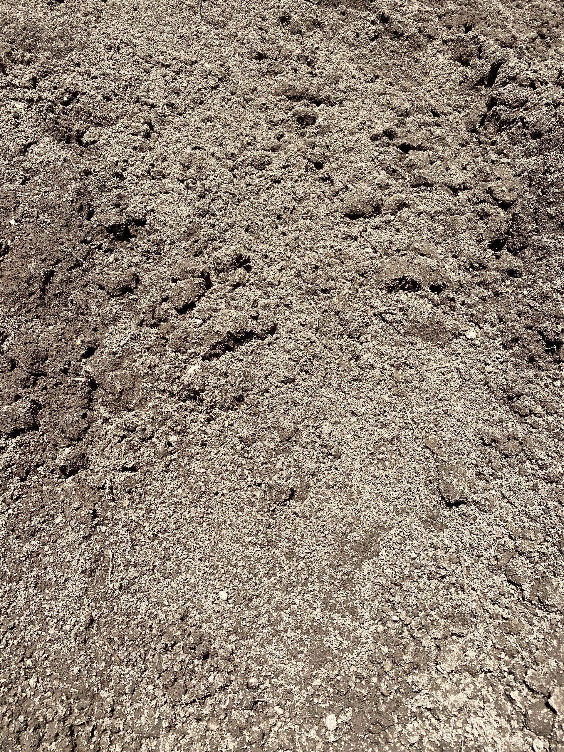 A close up of a pile of gravel on the ground.