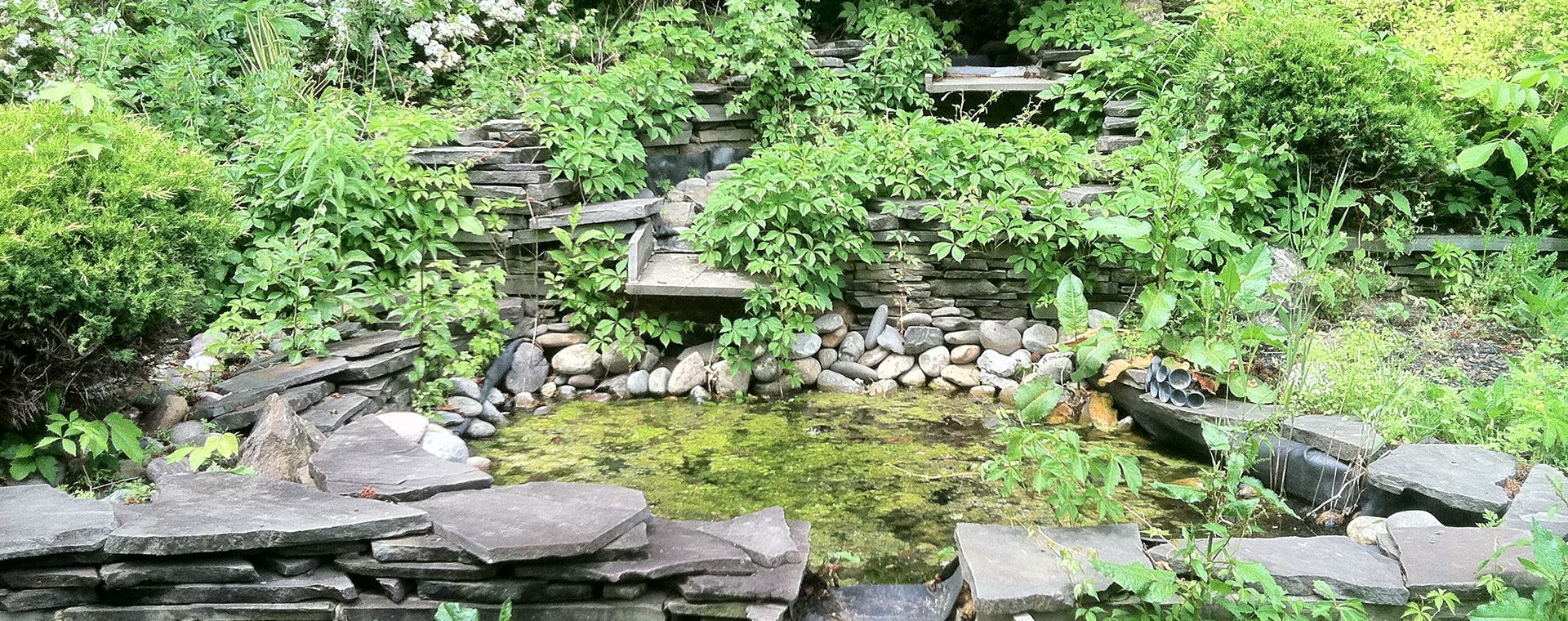 Pond Surrounded By Trees - Columbus, NJ – G & G Landscaping Construction, Inc.