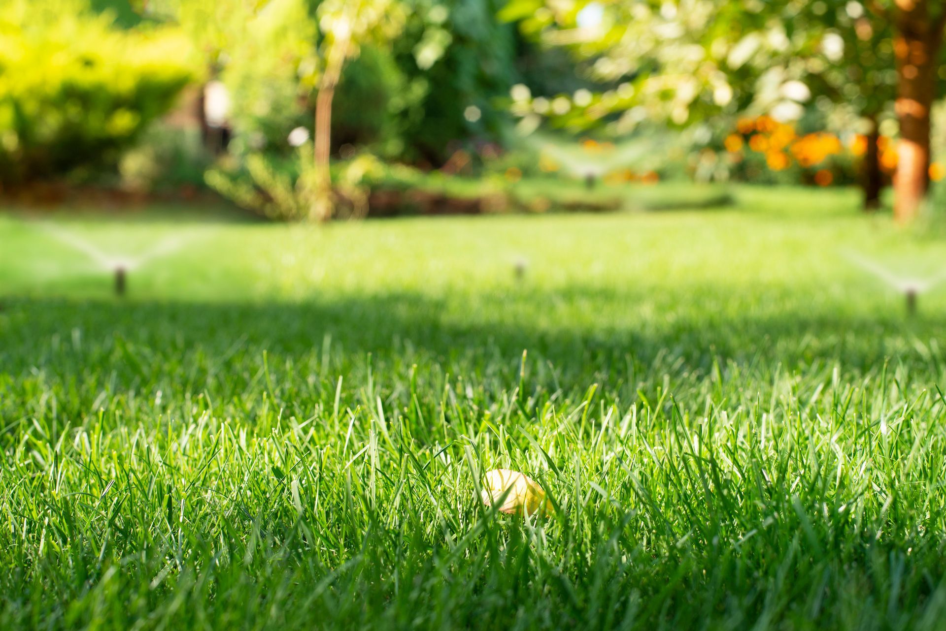 Mowed green backyard grass with sprinkler system.