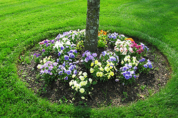 Lovely Flower Bed Tree — Columbus, NJ — G & G Landscaping Construction, Inc.