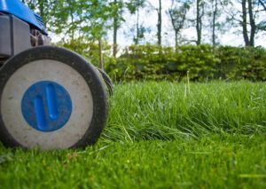 Lawn Mower Cutting Grasses — Columbus, NJ — G & G Landscaping Construction, Inc. Lawn Mower Cutting Grasses — Columbus, NJ — G & G Landscaping Construction, Inc.
