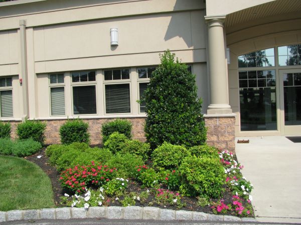 Building With A Lot Of Plants — Columbus, NJ — G & G Landscaping Construction, Inc.
