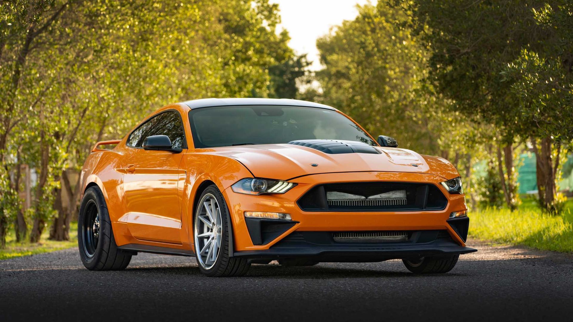 Orange Ford Mustang sports car on a tree-lined road, black roof and hood scoop, sunlight.