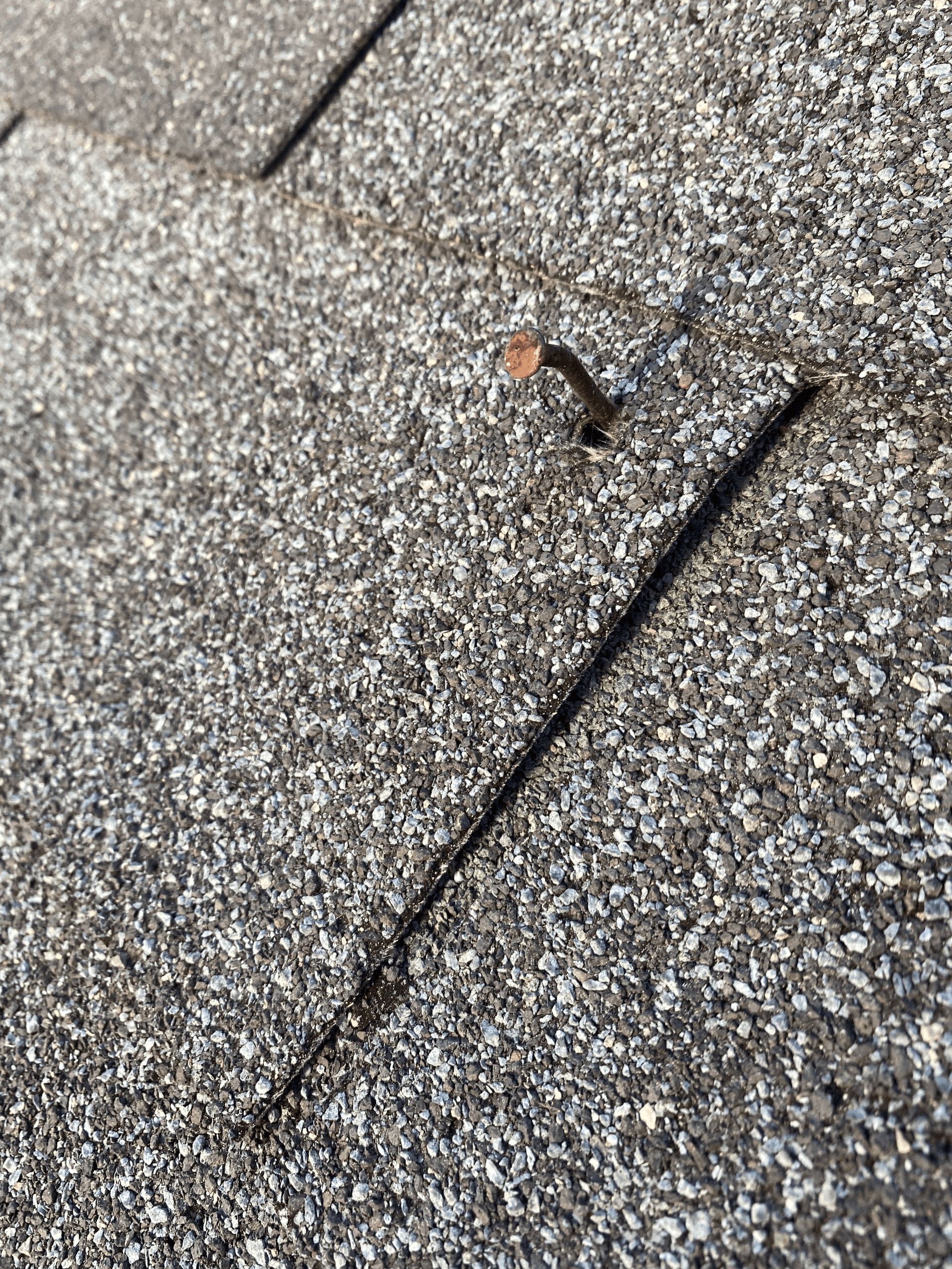 Image of nail pop on asphalt shingle roof, captured during RETEX roof assessment.