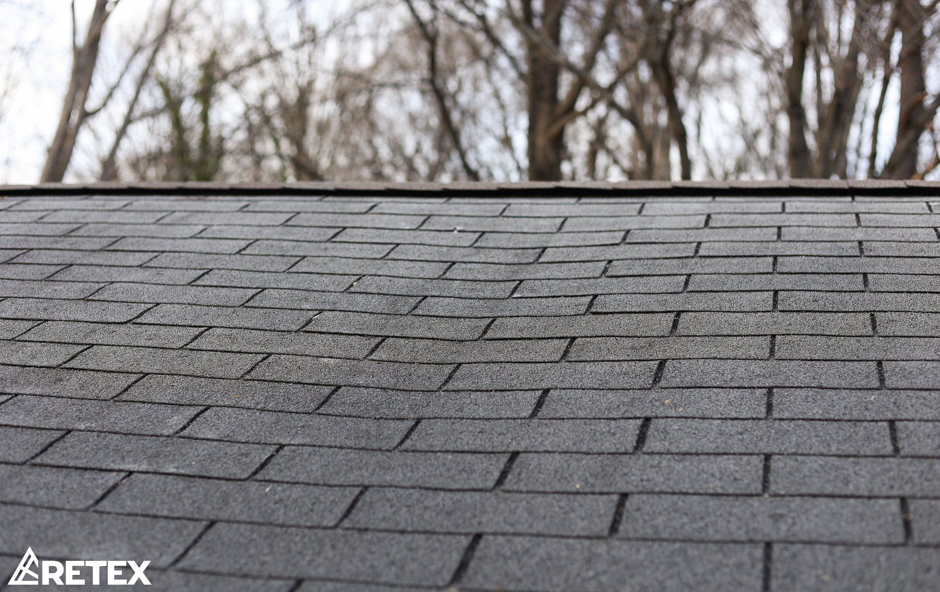 roof shingles