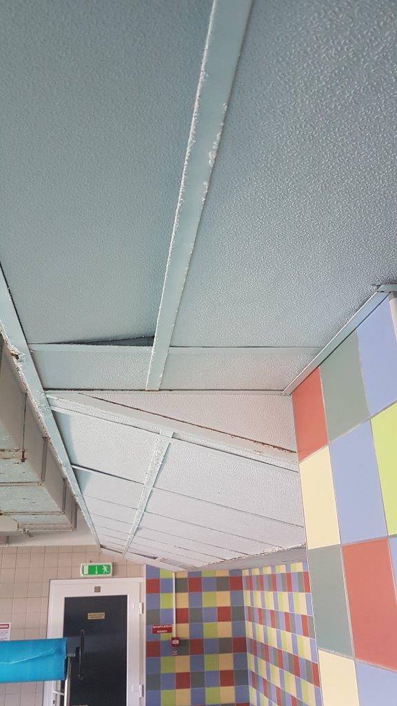 Iekšdarbi - SIA, Raco