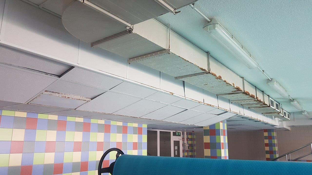 Iekšdarbi - SIA, Raco